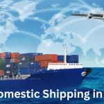 Domestic Shipping in the US